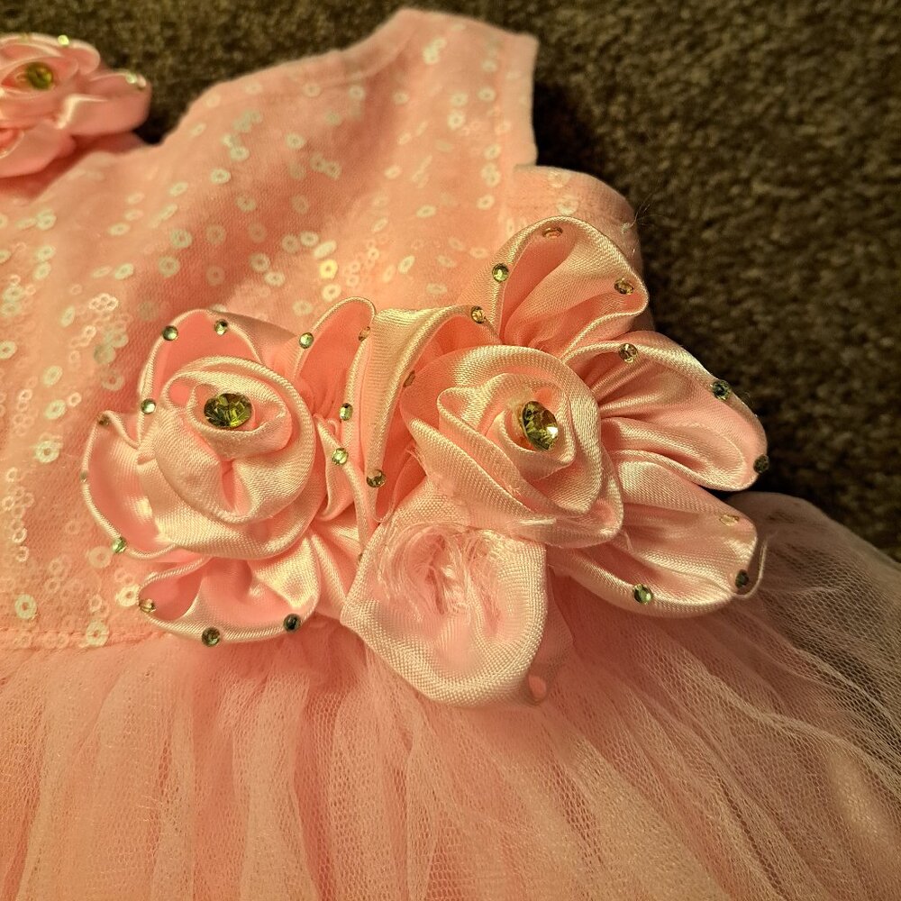 Beautiful Sleeveless Pink Dress W/Sequins,Rhinestones&Tulle Perfect for Birthday - Picture 5 of 7